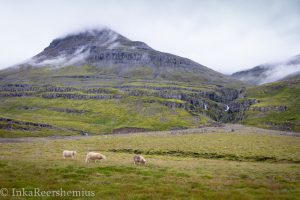 20160817-img_3068